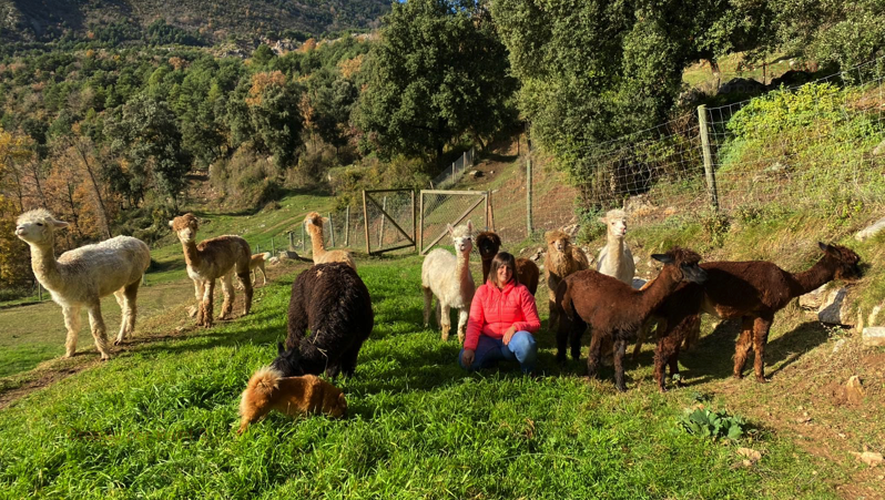 Maria Àngels con las Alpacas